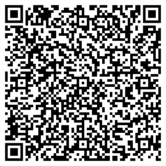 QR-код с контактной информацией организации Чинзано, Бар