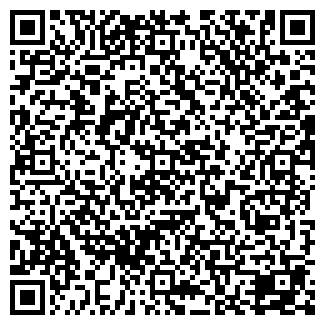 QR-код с контактной информацией организации Кафе Азиза, ИП