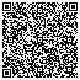 QR-код с контактной информацией организации Балу, ИП
