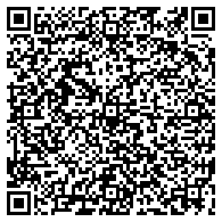 QR-код с контактной информацией организации Styling-Group Profi Custom