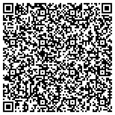 QR-код с контактной информацией организации Ансамбль Песняры Белорусский государственный
