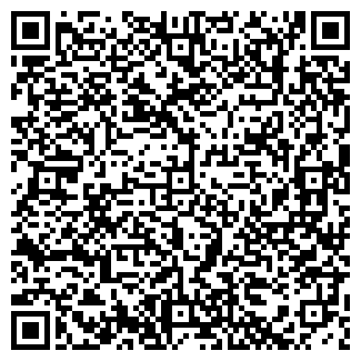 QR-код с контактной информацией организации Рубикон, ООО