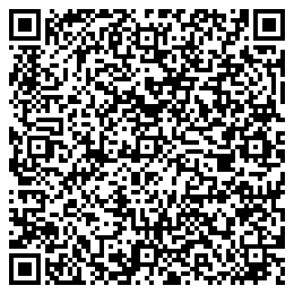 QR-код с контактной информацией организации Игилик, ИП