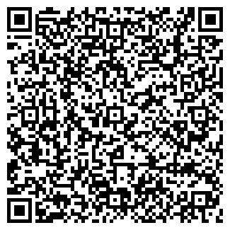 QR-код с контактной информацией организации ИП Дубен В. В.