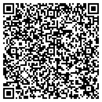 QR-код с контактной информацией организации ип tagashon BTS