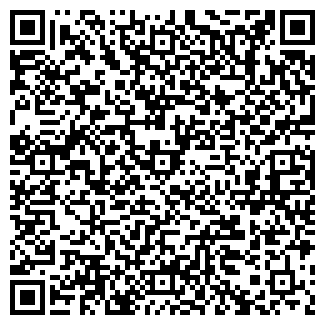 QR-код с контактной информацией организации РентСити, ИП