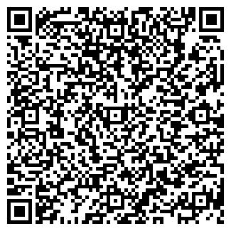 QR-код с контактной информацией организации ИП Чаглей Н. Г