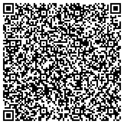 QR-код с контактной информацией организации Демченко Е.С. ЧП, Венеция