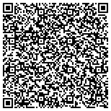 QR-код с контактной информацией организации Туристическое агенство Жираф, СПД