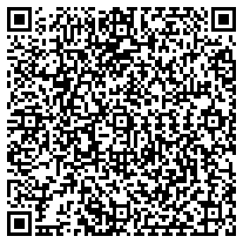 QR-код с контактной информацией организации Визум, ООО