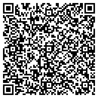 QR-код с контактной информацией организации Скиба, ЧП