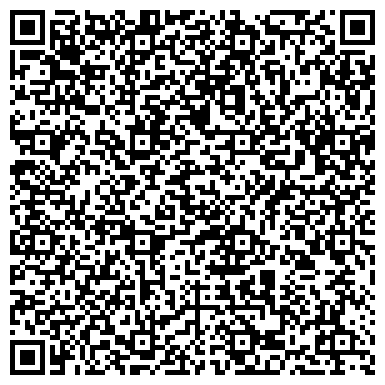 QR-код с контактной информацией организации Печкин сервис Интернэшнл, СПД