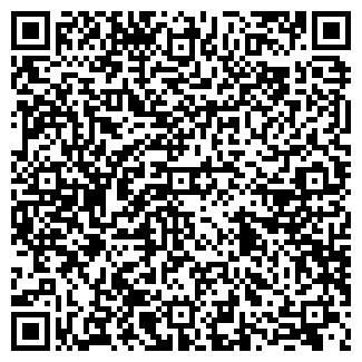 QR-код с контактной информацией организации Субъект предпринимательской деятельности Арт-Маст