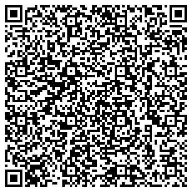 QR-код с контактной информацией организации Субъект предпринимательской деятельности Школа эстрадного исполнительства Dream School