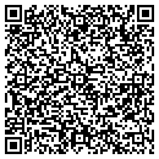 QR-код с контактной информацией организации Салон Вива, ИП