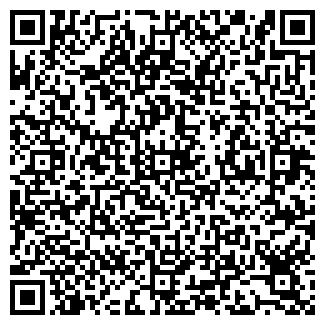 QR-код с контактной информацией организации БАШКИРНЕФТЕПРОДУКТ ОАО № 256
