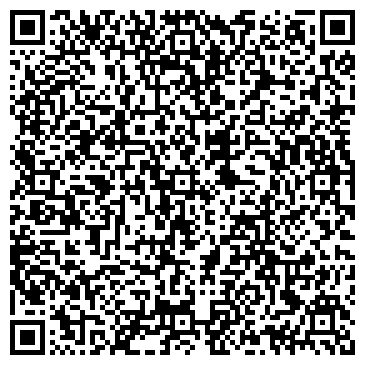 QR-код с контактной информацией организации DanceМания (ДансМания), ИП