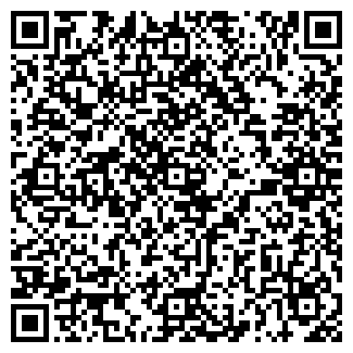 QR-код с контактной информацией организации ИП Ильясов