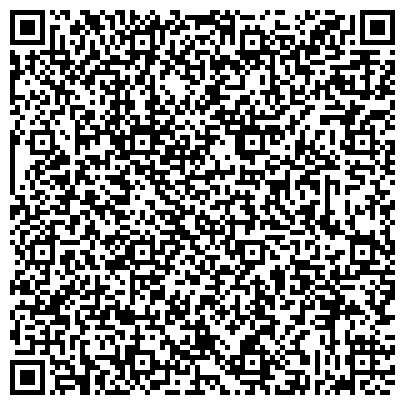 QR-код с контактной информацией организации Семипалатинский казахско-турецкий лицей, ГП