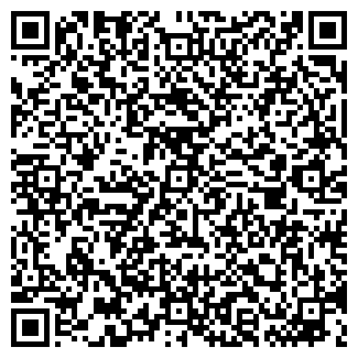 QR-код с контактной информацией организации Чингис, ИП