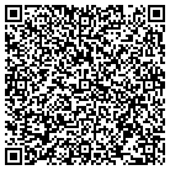 QR-код с контактной информацией организации Шестель А. С., ИП