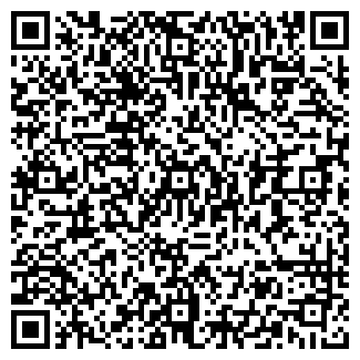 QR-код с контактной информацией организации Стая, ООО