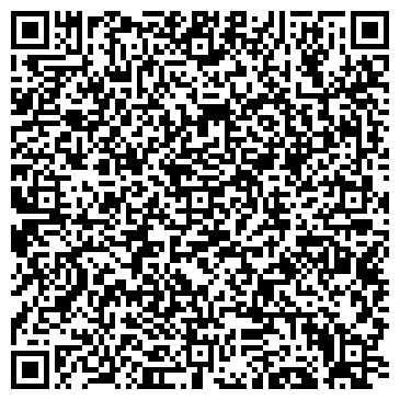 QR-код с контактной информацией организации Silverwings, Компания