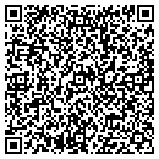 QR-код с контактной информацией организации Русмедиаком, ИП