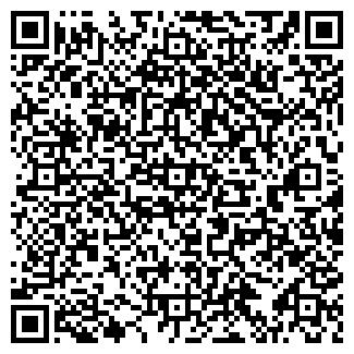 QR-код с контактной информацией организации Чебану Л.А., ИП