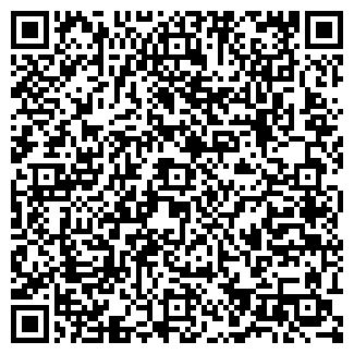 QR-код с контактной информацией организации Елчиди, ИП