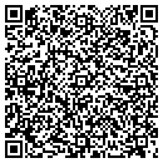 QR-код с контактной информацией организации Wellcar