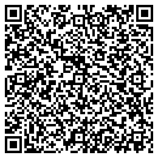 QR-код с контактной информацией организации Багира, ИП