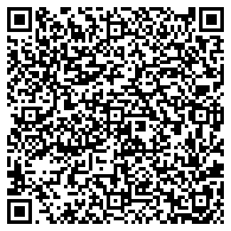 QR-код с контактной информацией организации ИП "Алия"