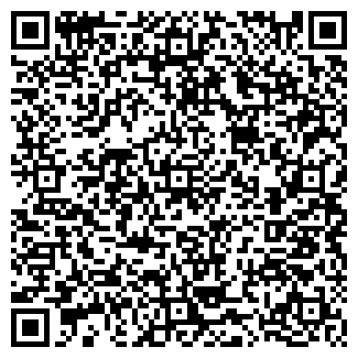 QR-код с контактной информацией организации Шынгар Транс, ТОО