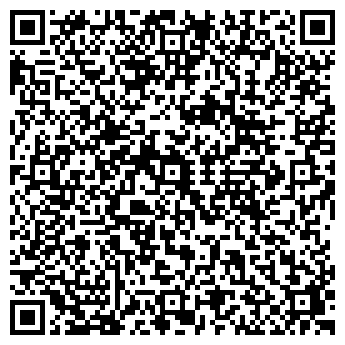 QR-код с контактной информацией организации Черная молния, ИП
