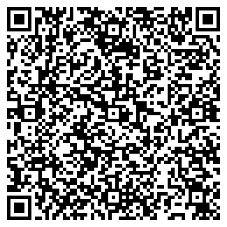 QR-код с контактной информацией организации Скайофис,ООО