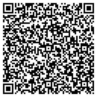 QR-код с контактной информацией организации Субъект предпринимательской деятельности Bagaж