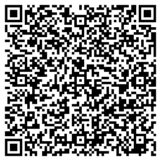 QR-код с контактной информацией организации SWAPINVEST