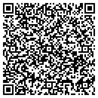 QR-код с контактной информацией организации Плаза Транс, ООО