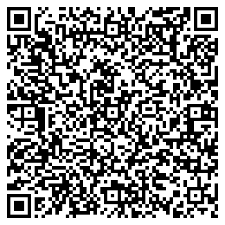 QR-код с контактной информацией организации Кина ММН, ЧП
