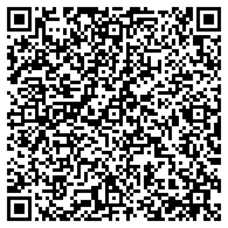 QR-код с контактной информацией организации Viptraffic, ООО