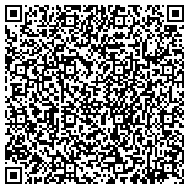 QR-код с контактной информацией организации Дизель 177, ЧП