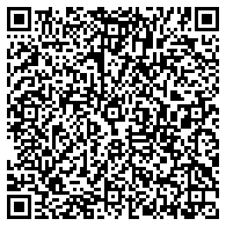 QR-код с контактной информацией организации Кодега, ООО