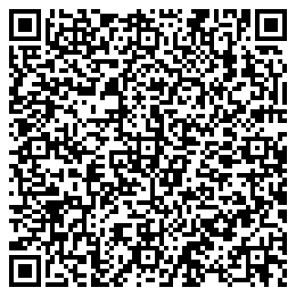 QR-код с контактной информацией организации Литвин, СПД