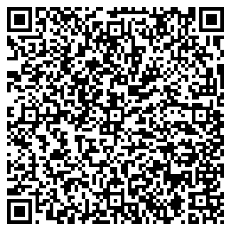 QR-код с контактной информацией организации Костанай IVT (АйВиТи), ТОО