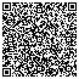 QR-код с контактной информацией организации Печерский, ИП