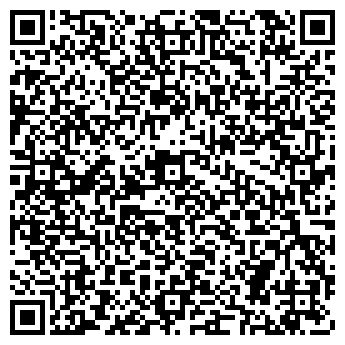 QR-код с контактной информацией организации Алтын Кеме, ИП