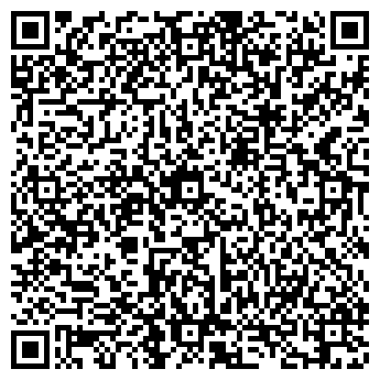 QR-код с контактной информацией организации Вади-Авто, ООО