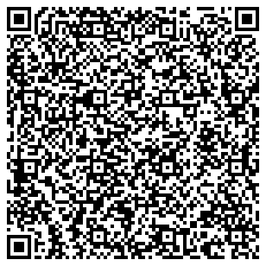 QR-код с контактной информацией организации Институт БелНИИС (Institute BelNIIS), РУП