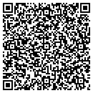 QR-код с контактной информацией организации Стальимпекс Групп, ООО